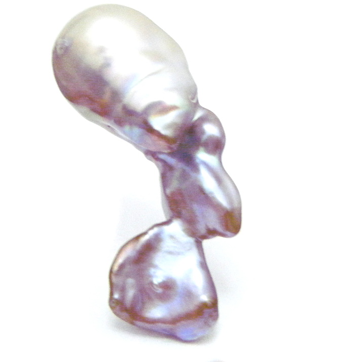 Long Tailed Natural Colours 40x29mm Pearl